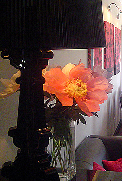 lamp and flower at Aaron Glen Guesthouse